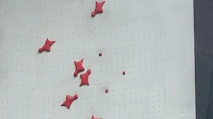 © DAV Sektion Rosenheim Rock&Bloc