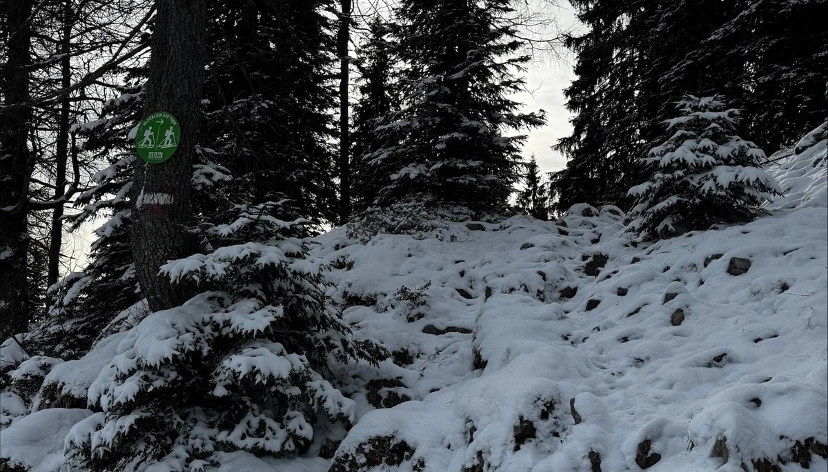 © DAV Sektion Rosenheim