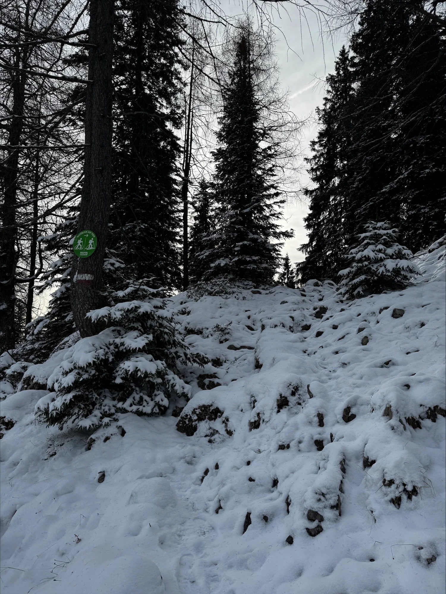 © DAV Sektion Rosenheim