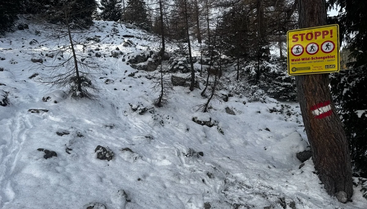 © DAV Sektion Rosenheim