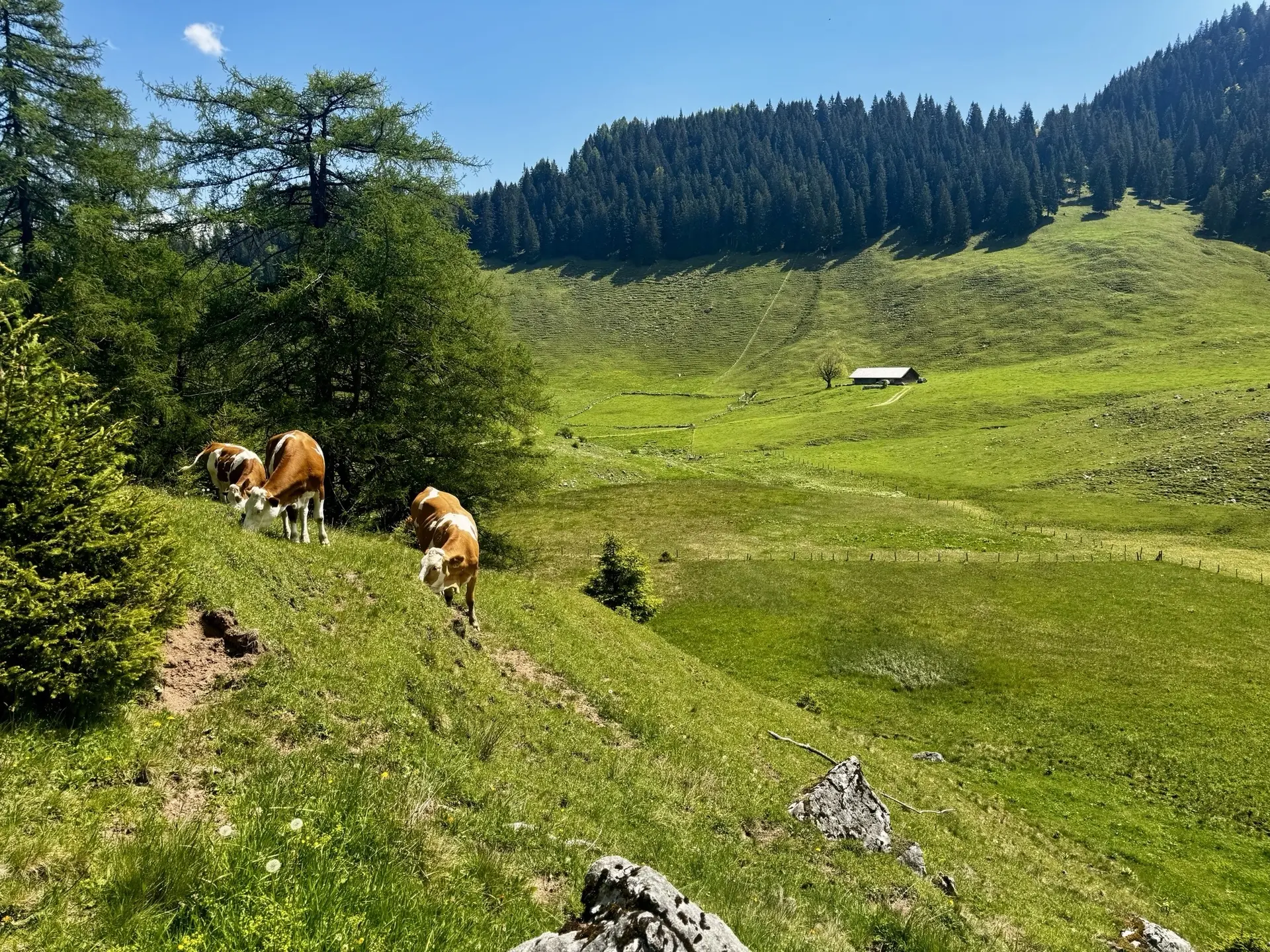 © DAV Sektion Rosenheim