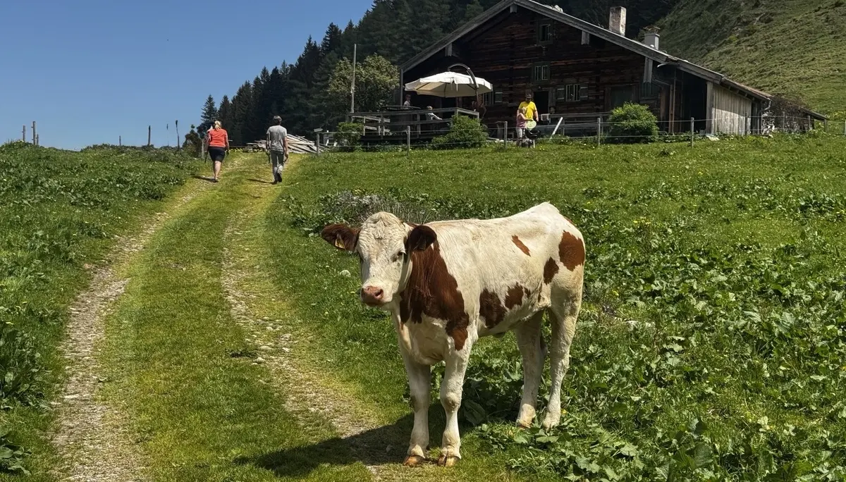 © DAV Sektion Rosenheim