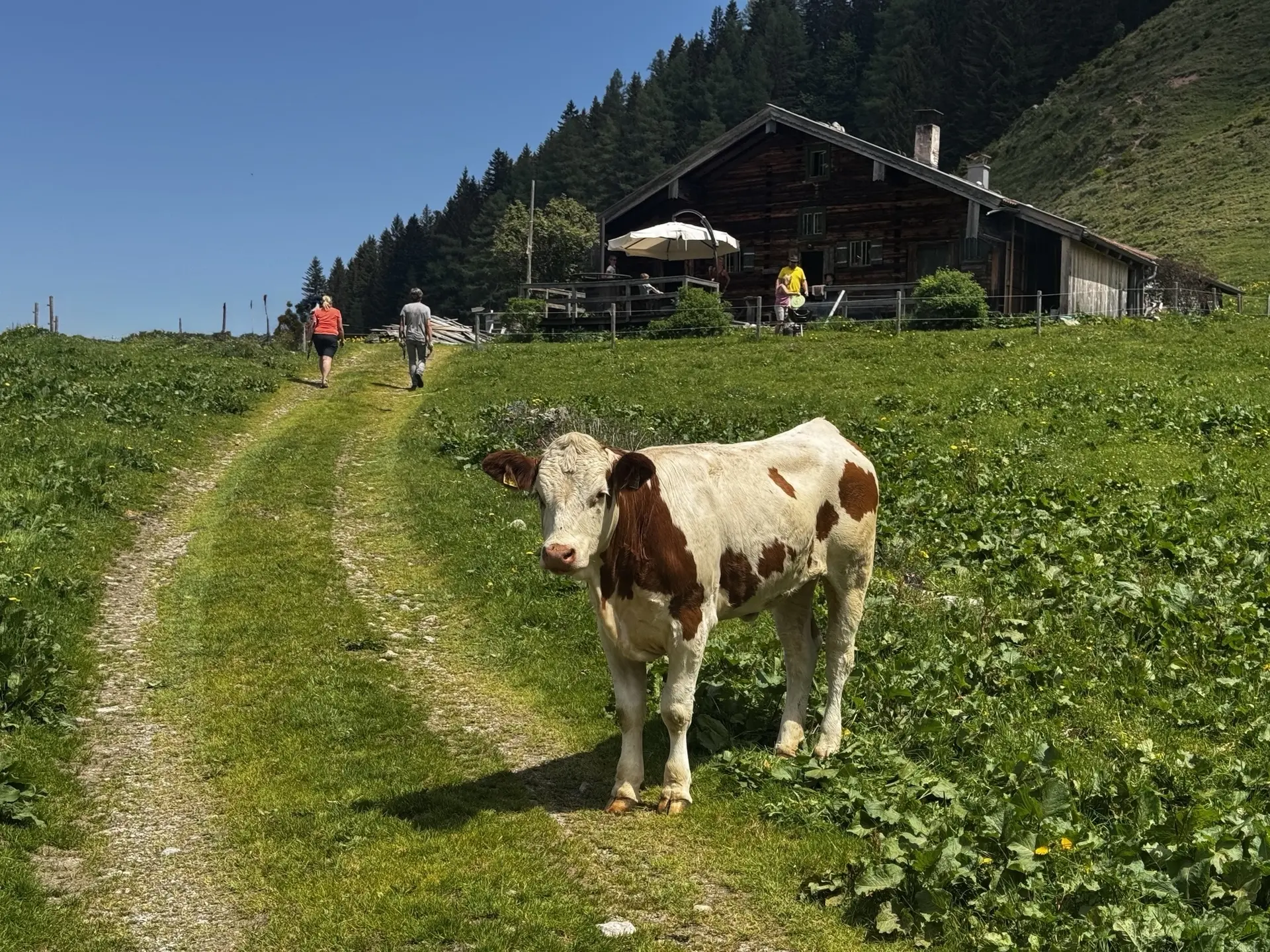 © DAV Sektion Rosenheim