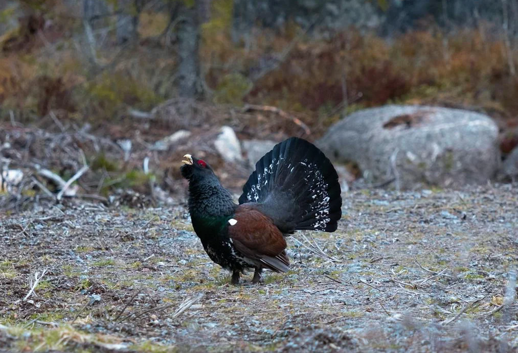 © Deutscher Alpenverein