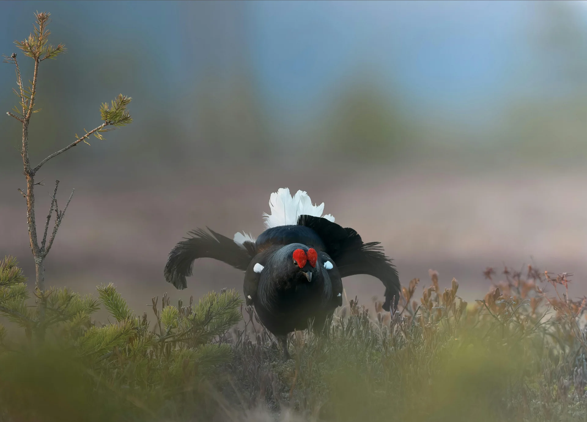 © Deutscher Alpenverein