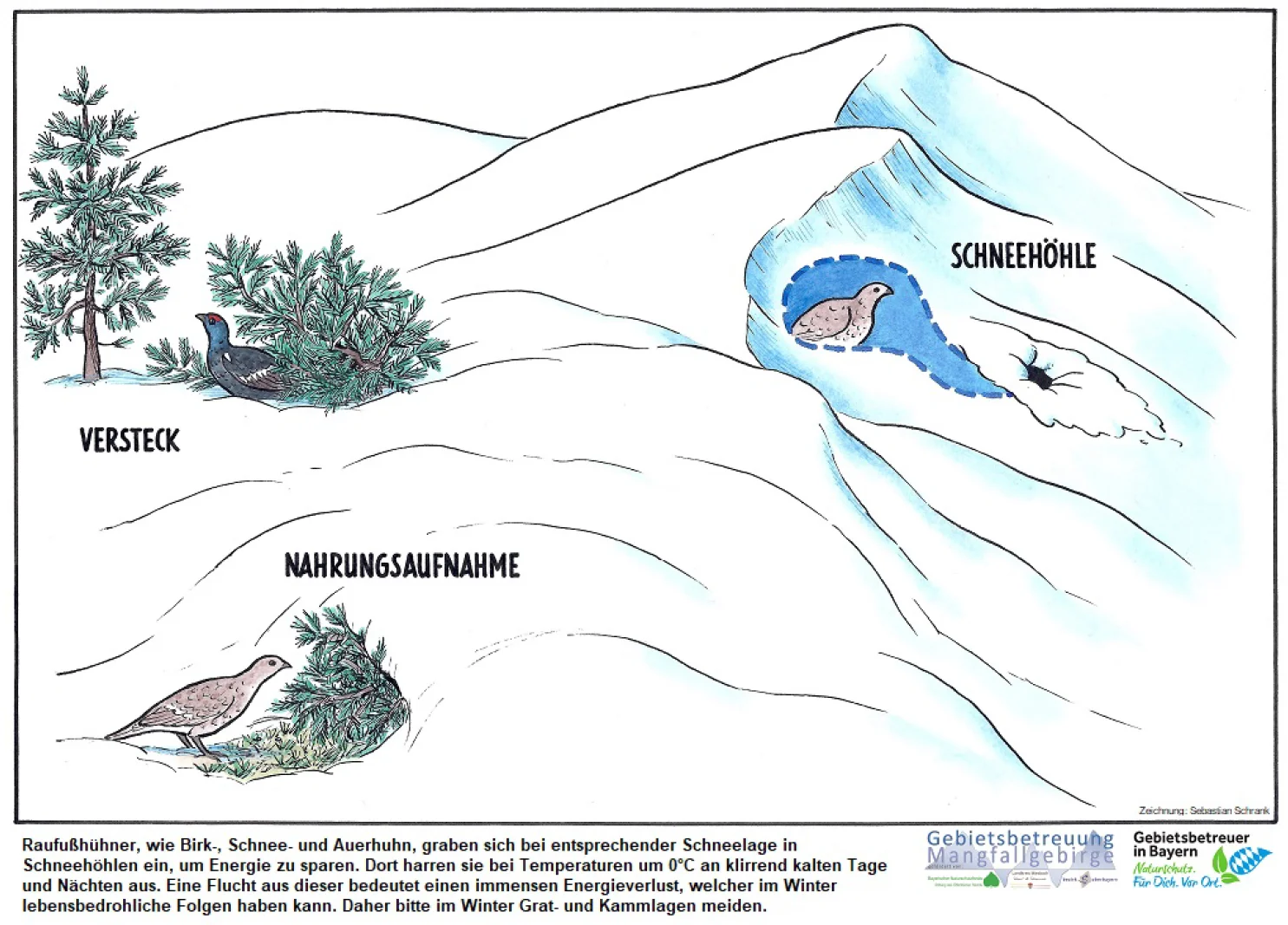 © Gebietsbetreuung Mangfallgebirge
