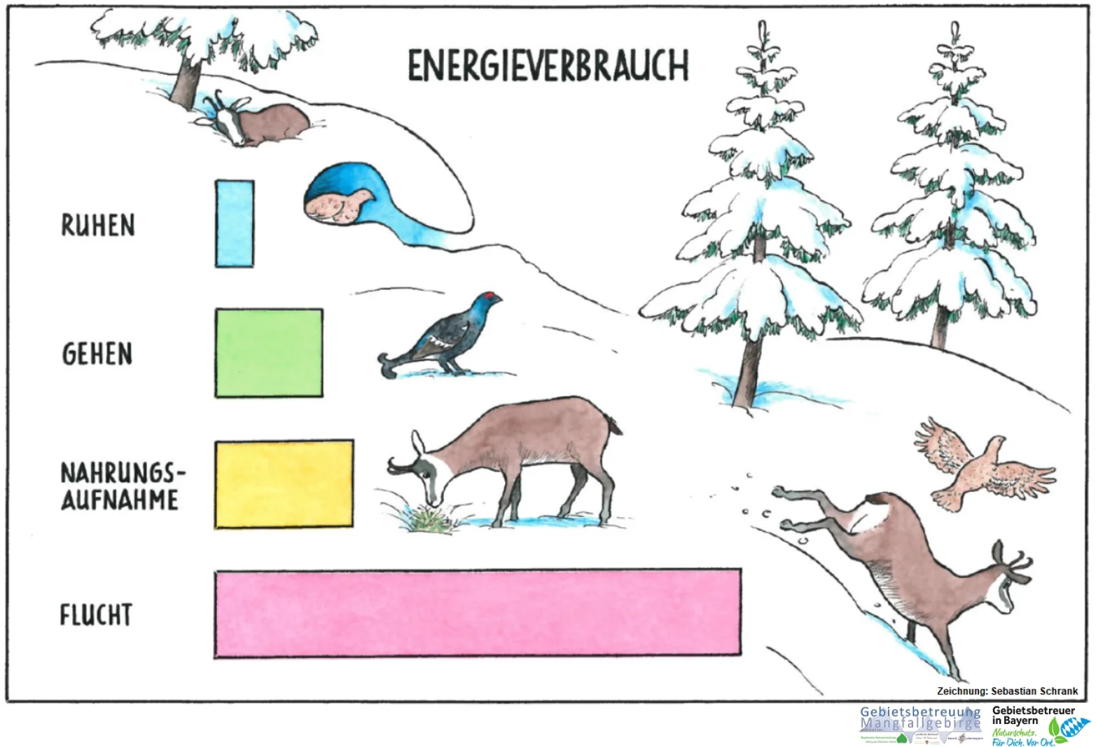 © Gebietsbetreuung Mangfallgebirge