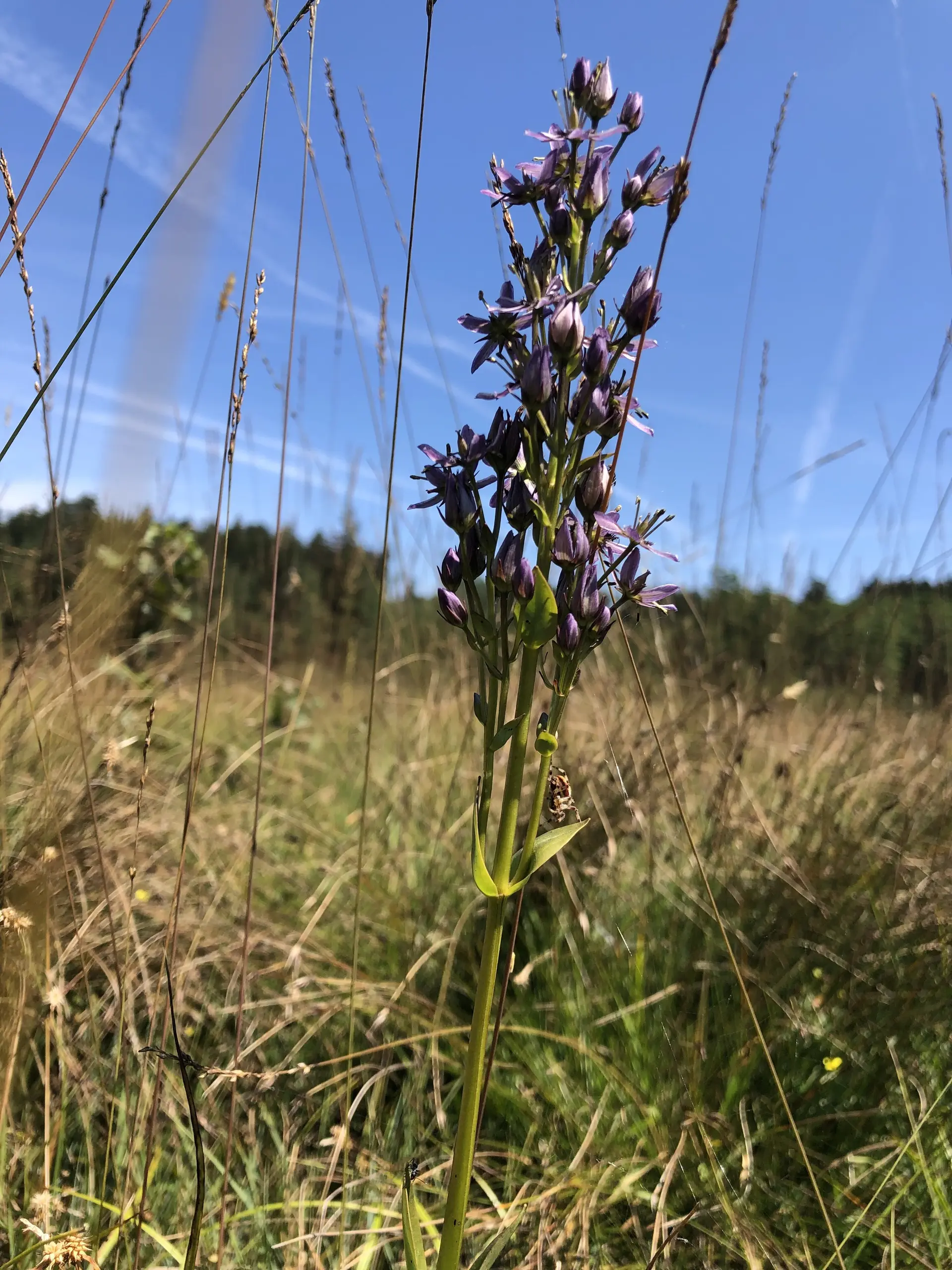 © DAV Sektion Rosenheim - Christoph Schnurr