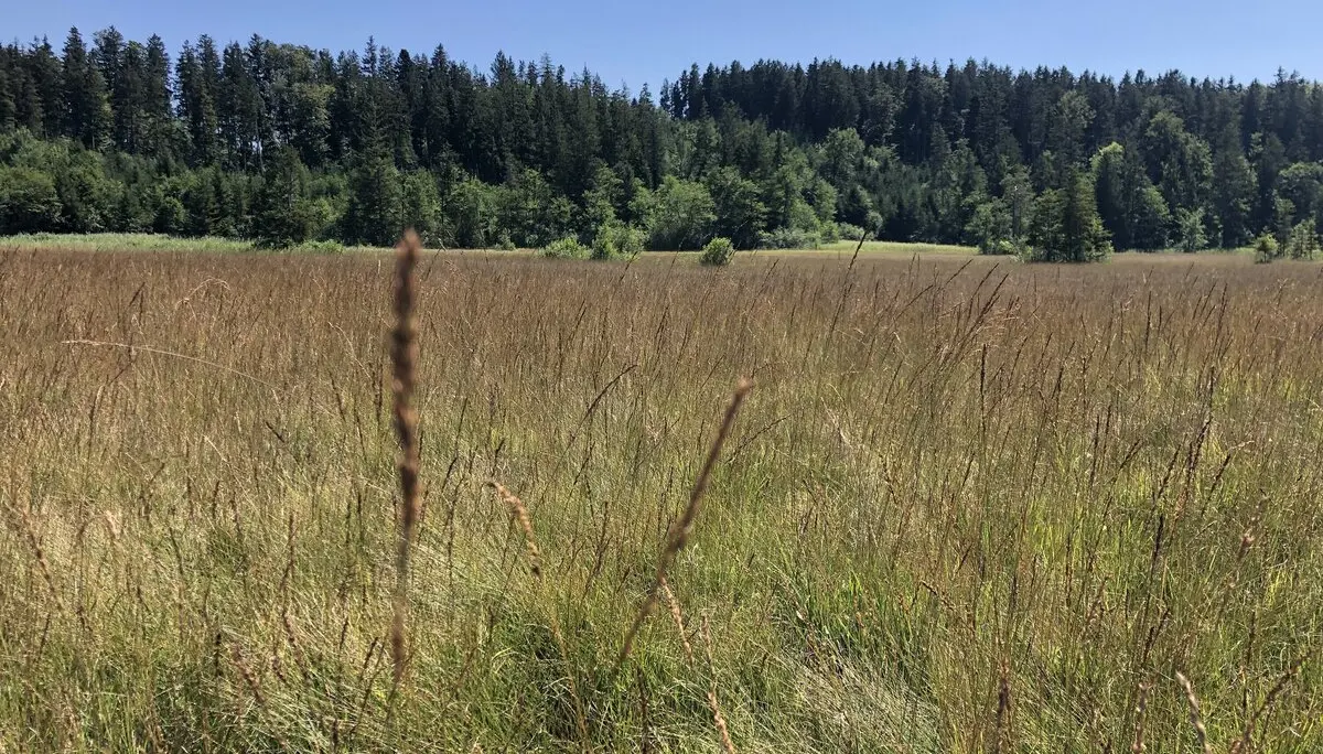 © DAV Sektion Rosenheim - Christoph Schnurr