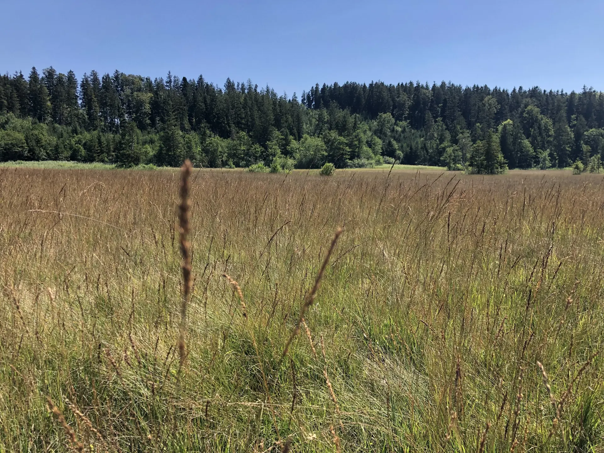 © DAV Sektion Rosenheim - Christoph Schnurr