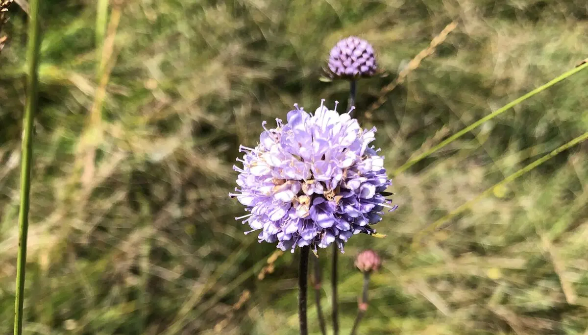 © DAV Sektion Rosenheim - Christoph Schnurr