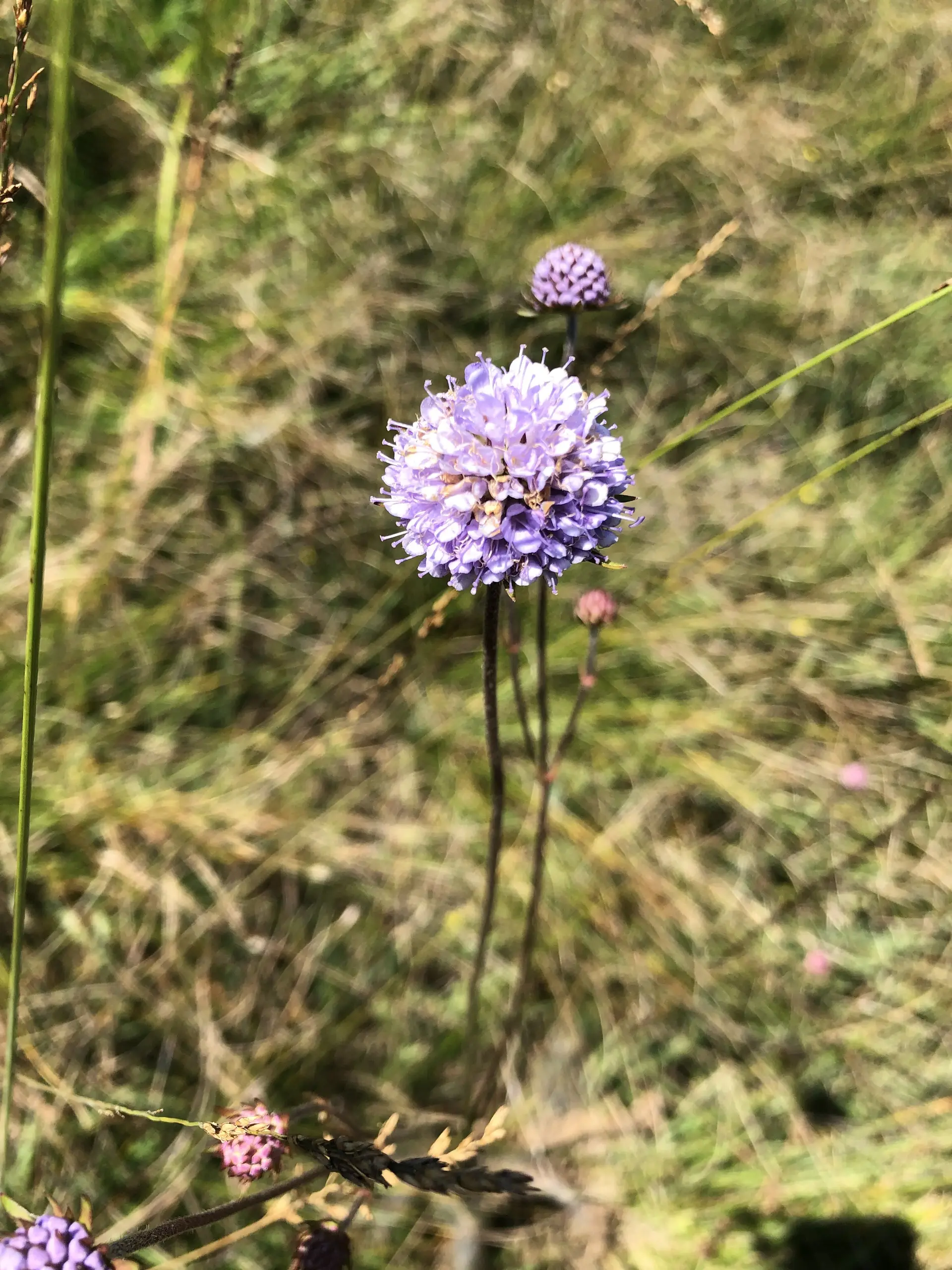 © DAV Sektion Rosenheim - Christoph Schnurr