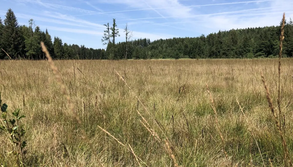 © DAV Sektion Rosenheim - Christoph Schnurr