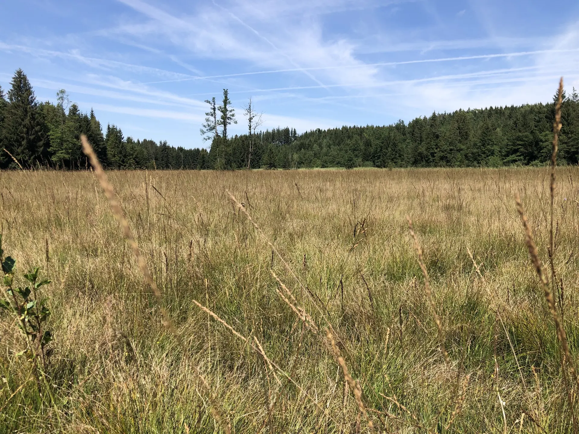 © DAV Sektion Rosenheim - Christoph Schnurr