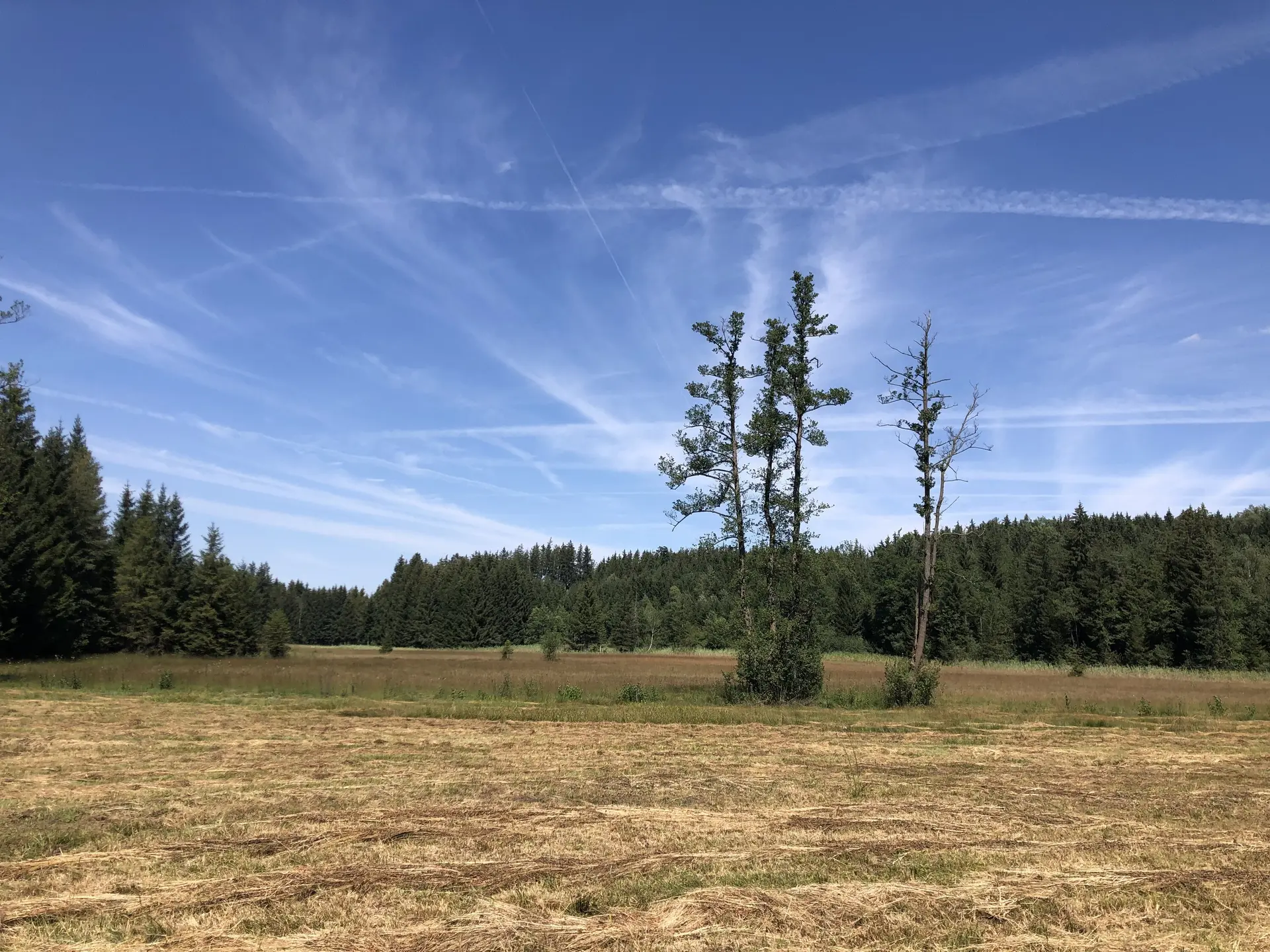 © DAV Sektion Rosenheim - Christoph Schnurr