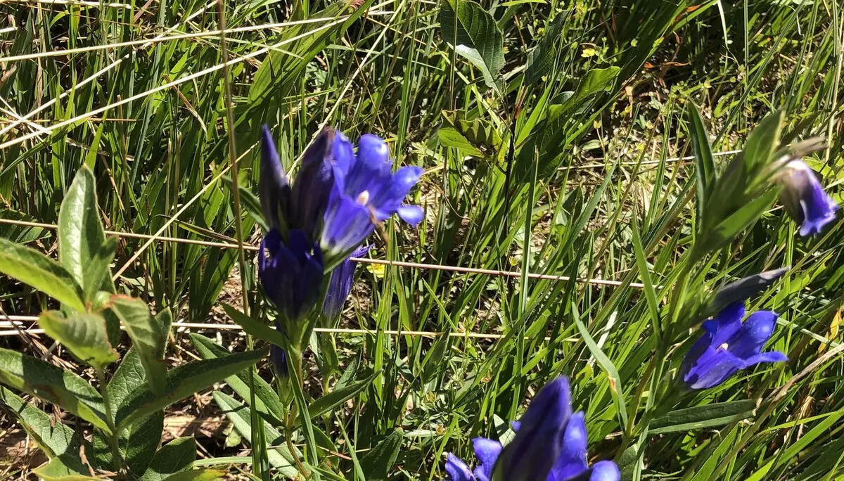 © DAV Sektion Rosenheim - Christoph Schnurr