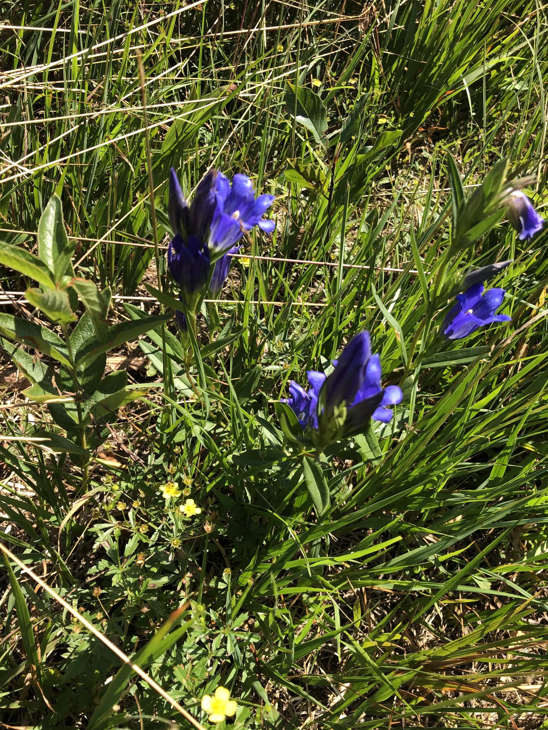 © DAV Sektion Rosenheim - Christoph Schnurr