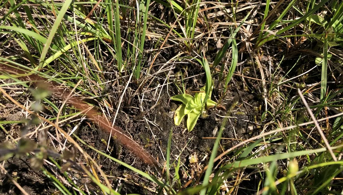 © DAV Sektion Rosenheim - Christoph Schnurr