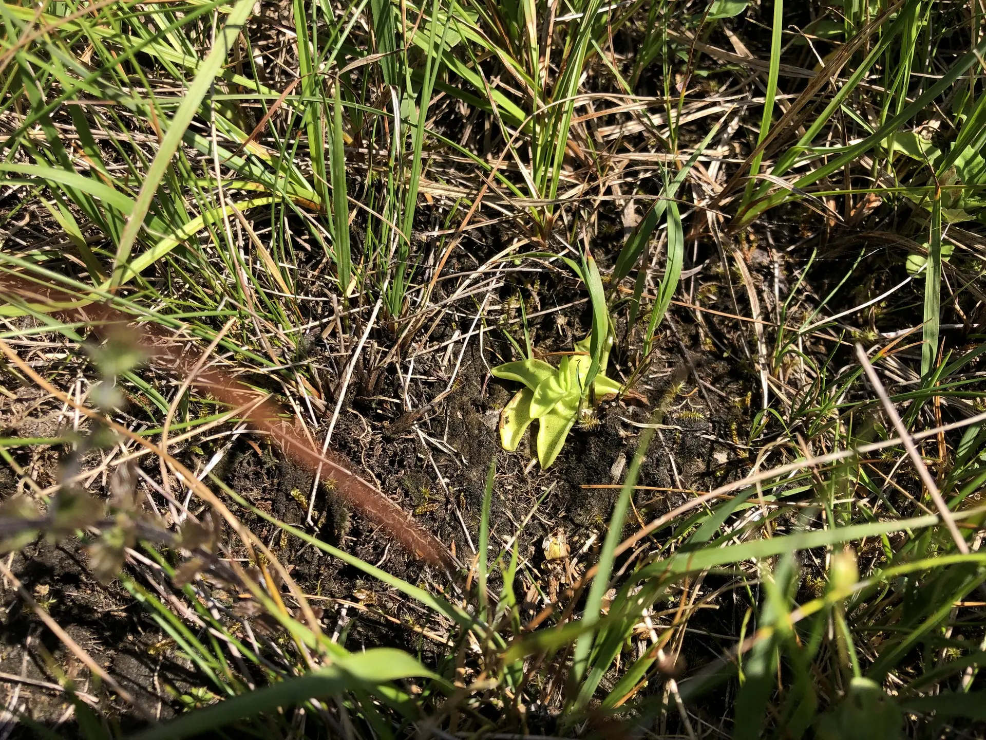 © DAV Sektion Rosenheim - Christoph Schnurr