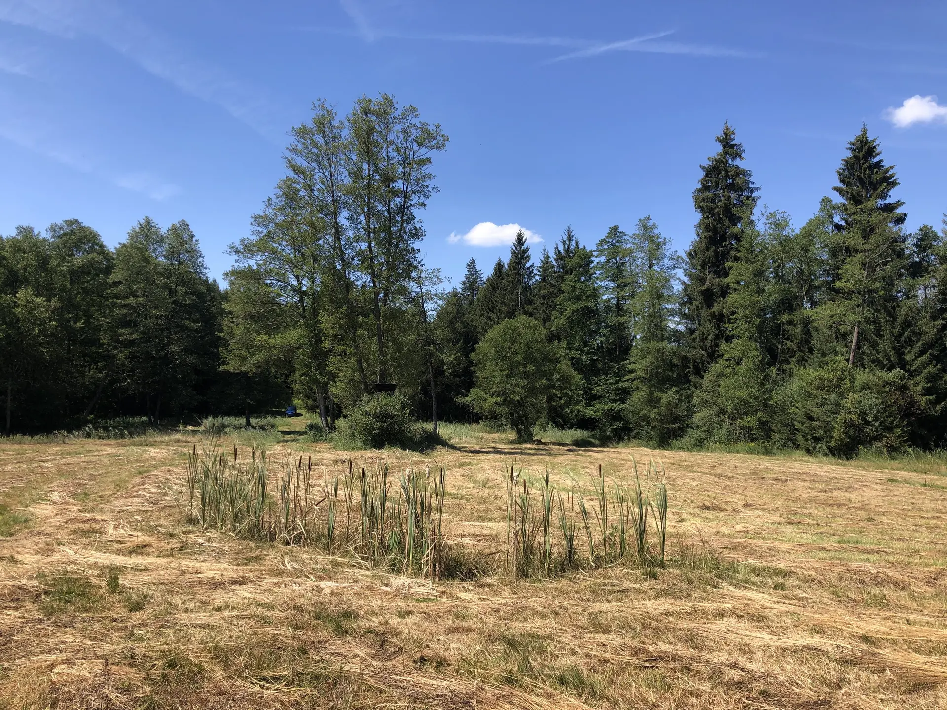 © DAV Sektion Rosenheim - Christoph Schnurr