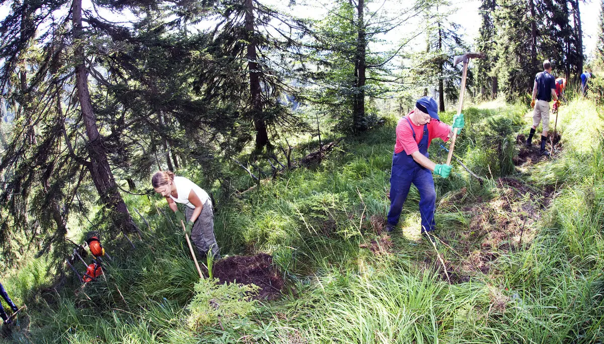 Aktion Schutzwald | © 	DAV/Marco Kost